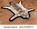 An old wolf pelt lay on tiled floor 