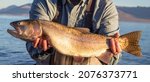 Small photo of Big Lahotan cutthroat trout caught and released at Pyramid Lake near Reno, Nevada on the Paiute Indian Reservation