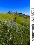 Small photo of Hawkins Range Reserve in the Boise foothills, Idaho