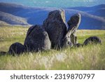 Small photo of Hawkins Range Reserve in the Boise foothills, Idaho