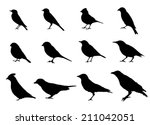 Birds Silhouettes