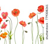 seamless pattern with red poppy ... | Shutterstock . vector #779308261