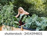 Small photo of Blond woman harvesting mangold from her raised bed in her own garden