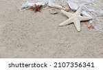 Shells And Starfish On The Sand.