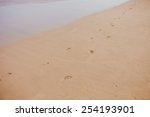 Footstep Track On Sand  The...