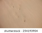 Footstep Track On Sand  The...