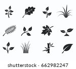 vector illustration of black... | Shutterstock .eps vector #662982247