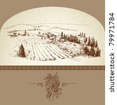 wine label   hand drawn vineyard | Shutterstock .eps vector #79971784