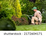 Garden Pruning Works to Maintain the Appearance of Shrubs, Bushes, Trees and Other Plants. Professional Landscaper Cutting the Overgrown Sprigs and Leaves with Garden Scissors.