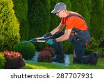 Professional Gardener At Work....