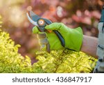 Small photo of Gardener Ready For Garden Works. Plant Cutter Scissors Closeup Photo.