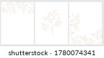set of 3 sketched twigs vector... | Shutterstock .eps vector #1780074341
