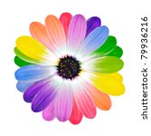 Rainbow Flower    Multi Colored ...