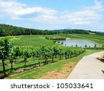 Landscape Of The Vineyards Of...