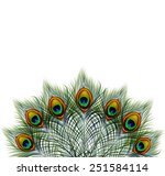 Beautiful Vector Peacock...