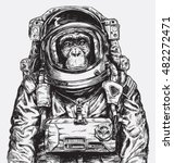 hand drawn monkey astronaut... | Shutterstock .eps vector #482272471