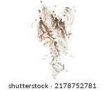 Bootprint isolated on white background close up