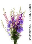 bouquet of meadow flowers... | Shutterstock . vector #1823722301