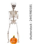 Skeleton for halloween holiday...