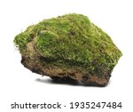 Green Moss On Stone  Isolated...