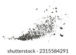 Small photo of Black coal dust with effect fragments explosion isolated on white background and texture, clipping path
