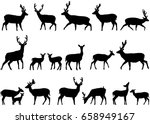 Collection of silhouettes of wild animals - the deer family