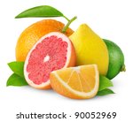 Isolated citrus fruits. Orange, grapefruit, lemon and lime isolated on white background