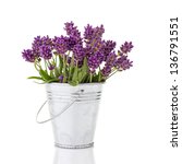 Lavender In A Metal Bucket...