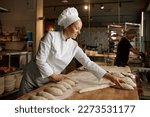 Small photo of Woman baker forming bread loaves from raw dough at professional kitchen