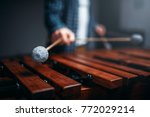 Xylophone Player Hands With...
