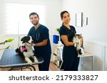 Small photo of Hispanic young woman and man working as professional vets and treating a dog and a cat at the animal hospital