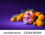 High contrast image of a sugar skull used for 