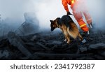 Small photo of Search and rescue forces search through destroyed building with the help of rescue dogs