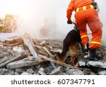 Search and rescue forces search through a destroyed building with the help of rescue dogs.