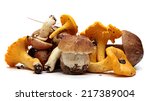 Wild Foraged Mushroom Selection ...