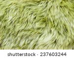 Close Up Of A Green Dyed...