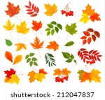 set of colorful autumn leaves.... | Shutterstock .eps vector #212047837