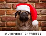 Pug In A Santa Hat