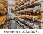 Small photo of A worker at a cheese factory sorting freshly processed cheese on drying shelves