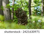 Small photo of A highly skilled elite sniper, camouflaged in the dense forest, stealthily maneuvers through dangerous woodland terrain on a covert and precise mission
