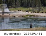 Yellowstone National Park ...