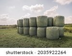 Bales Of Hay Packed With Green...