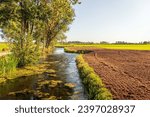Small photo of Picturesque image of a newly plowed field bordering a ditch in a Dutch polder. Tall willow trees grow on the other side of the ditch. It is a sunny day in the summer season.
