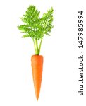 Carrot Isolated On White...