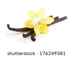 Vanilla pods and orchid flowers isolated on white background