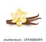 Vanilla pods isolated. Dried vanilla sticks and vanilla flower on white background. Aromatic ingredient for baking.