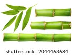 Branches Of Bamboo Set Isolated ...