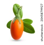 goji berry isolated on white... | Shutterstock . vector #2045879927