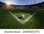 Textured soccer game field with ...