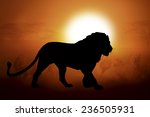 Silhouettes Lion Against The...